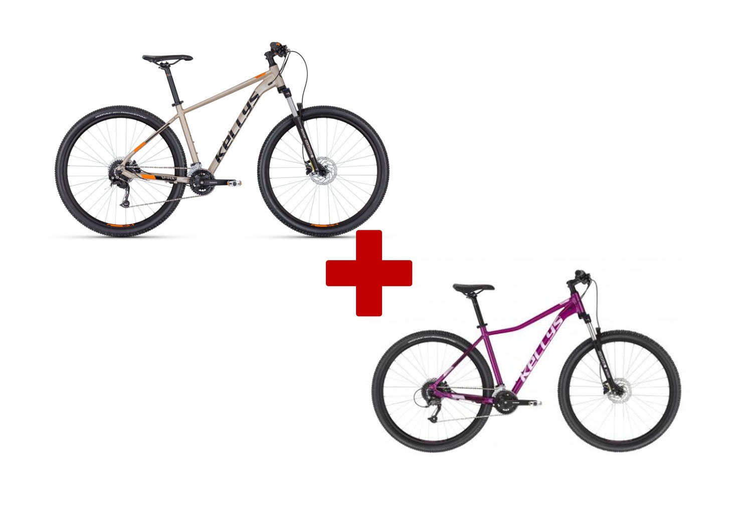 Dámsky a pánsky bicykel